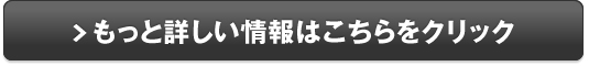 メガマックスマッスル 販売サイトへ